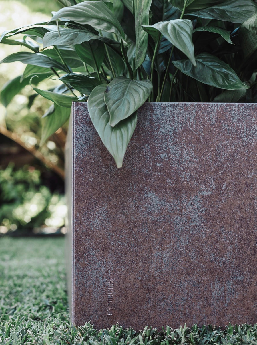 Planter Boxes & Raised Gardens