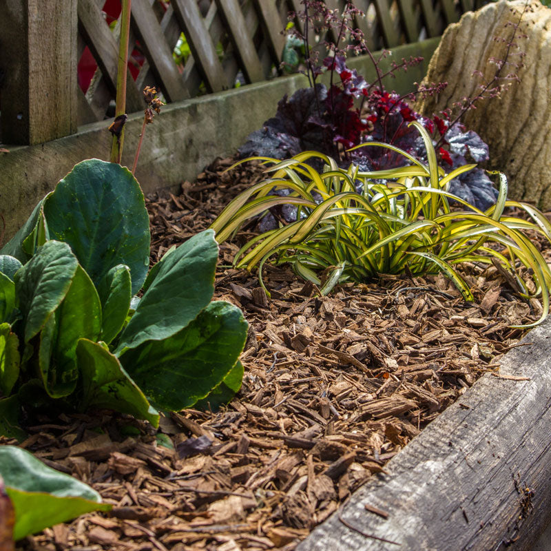 Eco Mulch