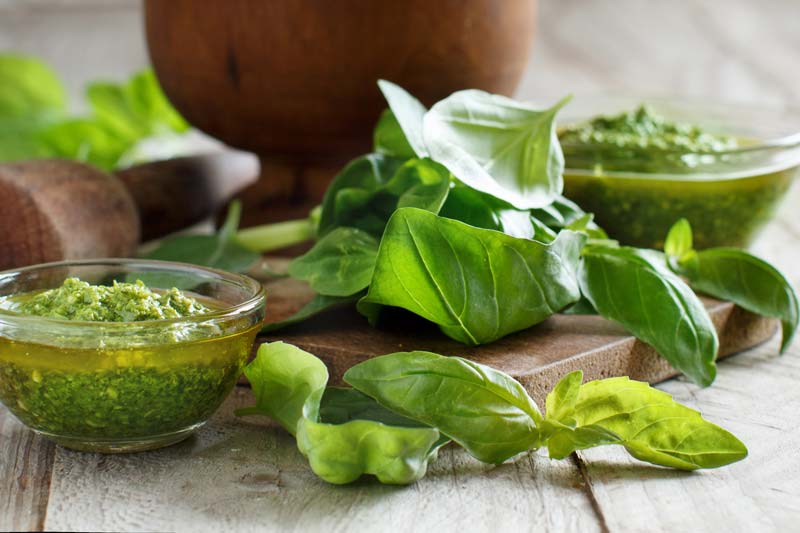 Basil Pesto Recipe